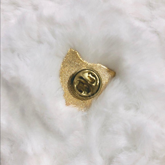 Free Ohio Gold Pin - Picture 2 of 2